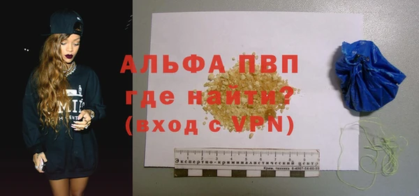 соль ск Новодвинск
