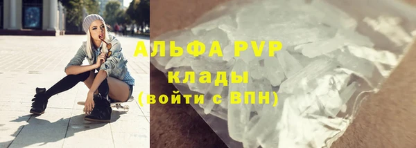 соль ск Новодвинск