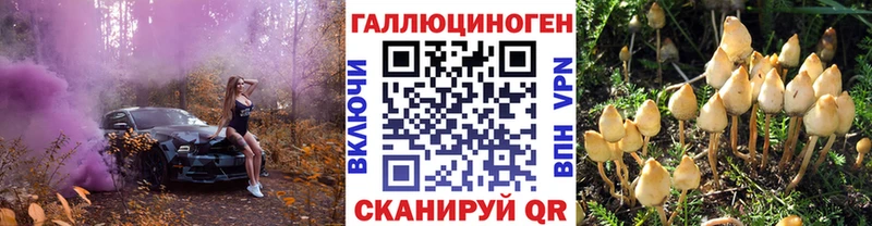 Галлюциногенные грибы ЛСД  mega ТОР  Туран 